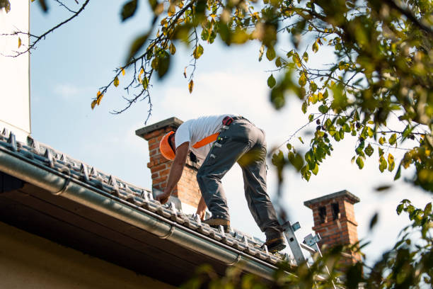 Best Roof Gutter Cleaning  in Slidell, LA