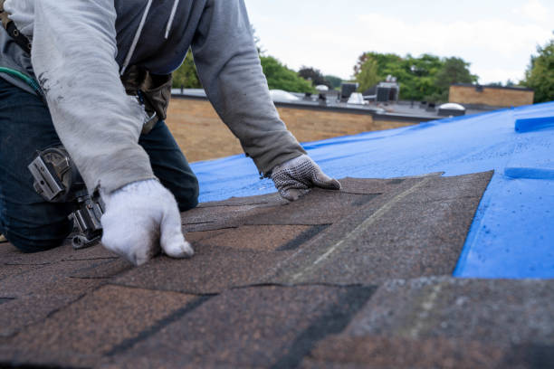 Best Metal Roofing Contractor  in Slidell, LA